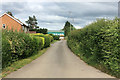 Lane to Wroxeter Roman Vineyard