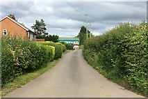 SJ5607 : Lane to Wroxeter Roman Vineyard by David Dixon