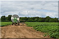 TM3051 : Irrigated potato field on Summer Lane by Simon Mortimer