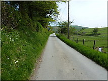 SJ1130 : Along the lane in the valley near Tyn-y-ffridd by Richard Law