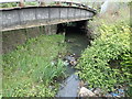 Railway viaduct at the western end of the Tennant Canal