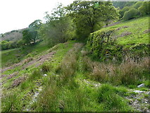 SJ1129 : A short hillside track below Tan-y-ffridd by Richard Law