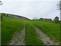 Steep hillside above Sychnant