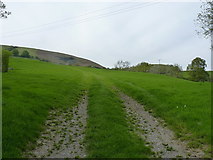 SJ1227 : Steep hillside above Sychnant by Richard Law