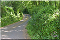 Minor road west of Helford