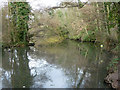 Lowest lake, Kelsey Park