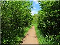 SP4816 : The footpath to Shipton-on-Cherwell through Thrupp Wide by Steve Daniels