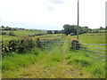 Farm lane running South-southeast  from Tullyneill Road