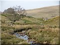 Middlehope Burn