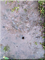 A rivet-less rivet bench mark on Soudley Bridge, Forest of Dean