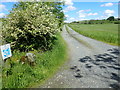 Farm lane leading to 31 Tullyneill Road