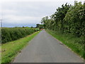 Minor road near to Thornborough Moor