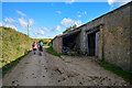 North Devon : Country Lane