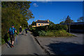 North Devon : Country Lane