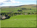 Upper Weardale around Westgate (3)