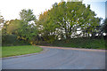 North Devon : Country Lane