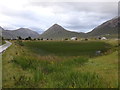 Reedy pond by the fish farm, Faoilean