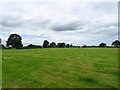 Cut silage field near Lea Farm