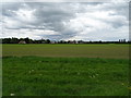 Crop field near Sealand Manor