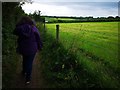 Halberton : Footpath