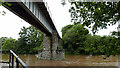 Walking under the Wye Railway Bridge on the Wye Valley Walk