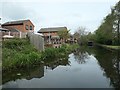 The Erewash Canal, between bridges 19 and 20