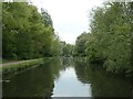 The Erewash Canal, above Stensons Lock [no 71]