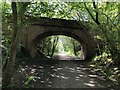 Castle Eden Walkway