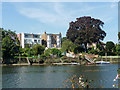 Houses overlooking River Thames