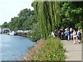 Path along river bank, Richmond