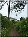 Houses in Copland Meadows, Totnes, overlooking Copland Lane