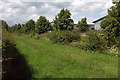 Grassland beside Bad Homburg Way