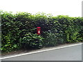 Elizabeth II postbox on Fiddlers Lane, Saughall