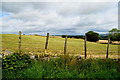 Magheracoltan Townland