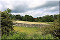 Farmland at Parton Mill