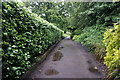 SJ3790 : Wavertree Botanic Gardens by Ian S
