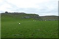 SD9664 : Limestone cliffs by DS Pugh