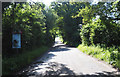 Southeast view down minor country road