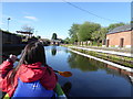 On part of the Montgomery Canal in Welshpool in June