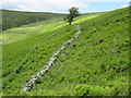 SJ0227 : Redundant dry stone wall with adjacent wire fence by John H Darch