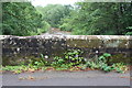 NY4960 : View of River Irthing over southeast parapet of Ruleholme Bridge by Roger Templeman