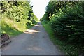 Private track to Hatfield House