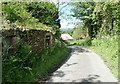 Derelict cottage and outbuildings on Island Road