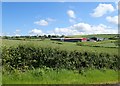 Dairy Farm on Tullygeasy Road