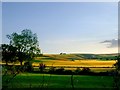 Letcombe Bassett: views from the churchyard (3)