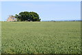 Farm Cottages by Airdrie House, Crail