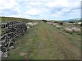 NZ7604 : Bridleway above disused quarries, Glaisdale Low Moor by Christine Johnstone