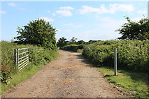 TL2506 : Track off Wildhill Road, Woodside by David Howard