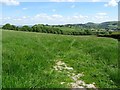 Farmland above Gladestry