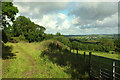 Towards South Tawton